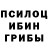 Галлюциногенные грибы Psilocybine cubensis son