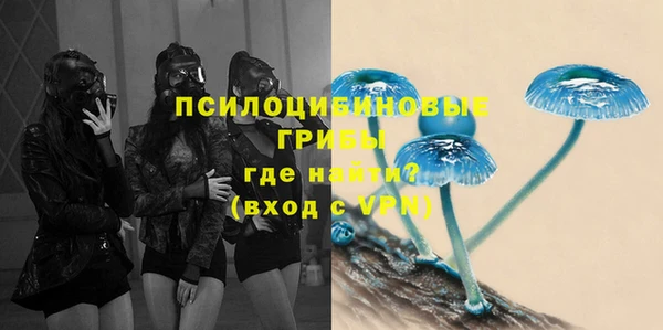 мдма Новодвинск