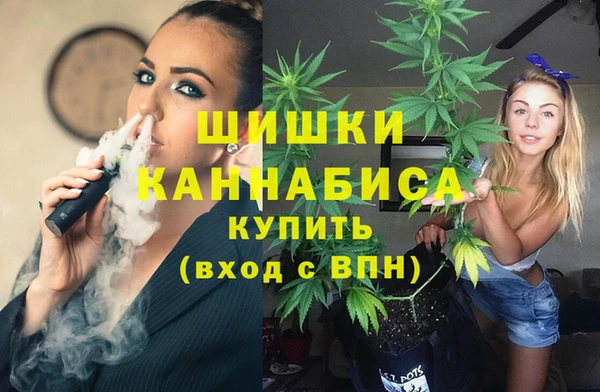 mdpv Новозыбков