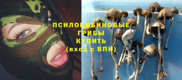 мдма Новодвинск